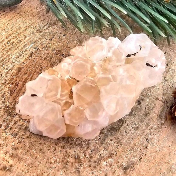 Cute Nature Cluster Hand Carved 2.3" Hedgehog Figure - Picture 9 of 10